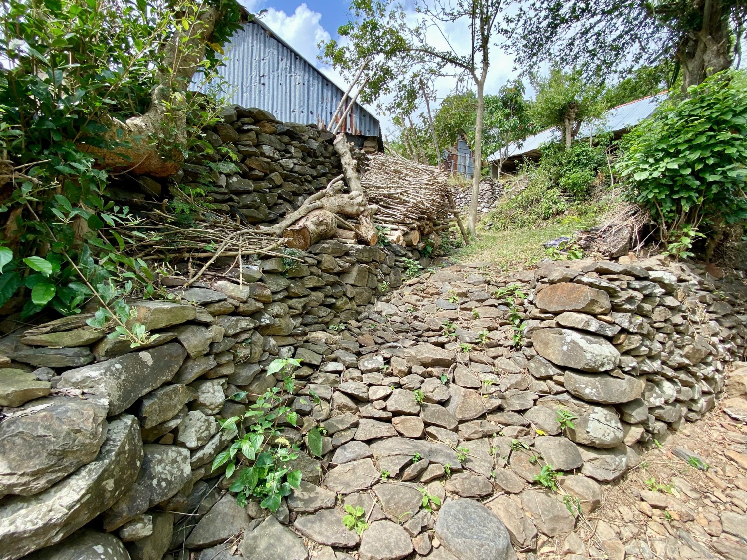 Về đồi Cổ Thạch, chạm vào vẻ đẹp nguyên sơ của vùng đất Phú Yên