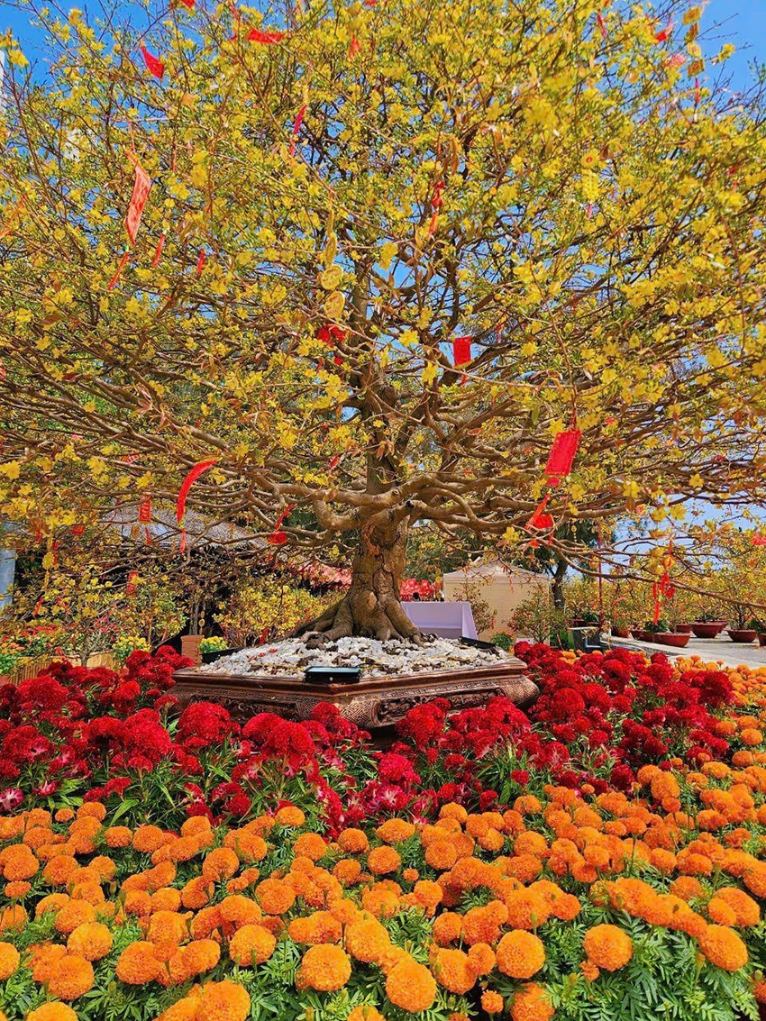 Một ngày du xuân Cần Giờ, trọn niềm vui cho cả gia đình, vẹn ký ức cho nhiều mùa Tết