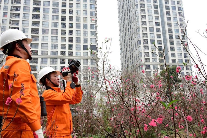 EVN triển khai nhiệm vụ ngay sau kỳ nghỉ Tết Nguyên đán Bính Ngọ 2026