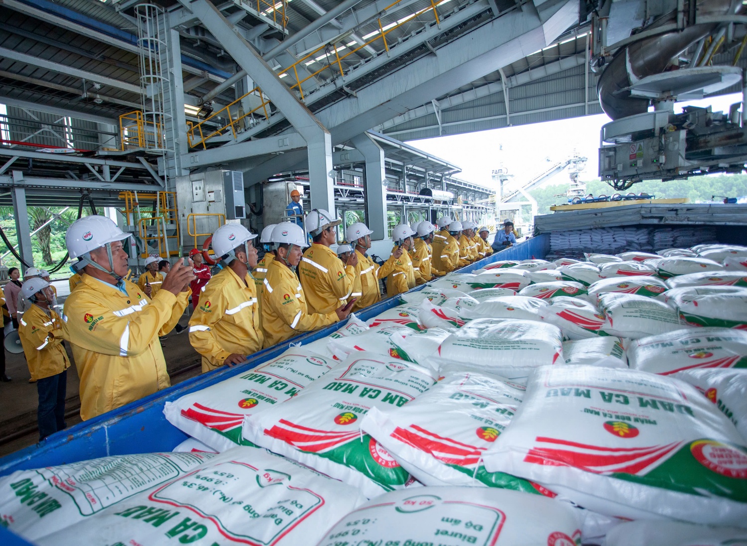 Phân bón Cà Mau xuất khẩu thành công lô hàng đầu tiên sang Mỹ