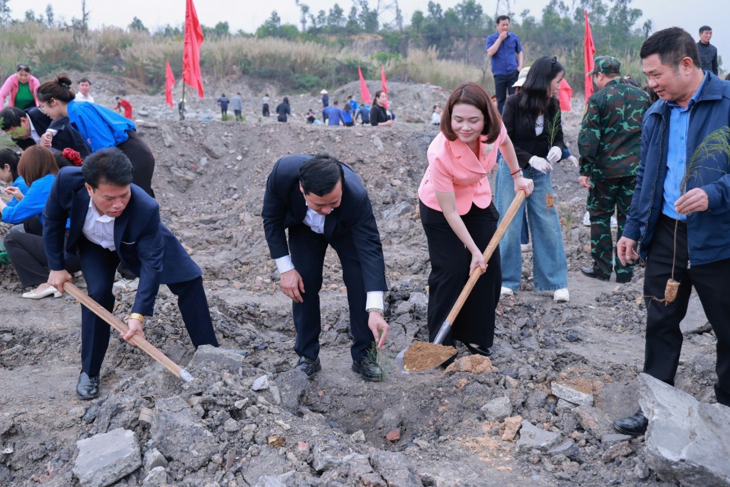 TKV - Tết trồng cây 2026