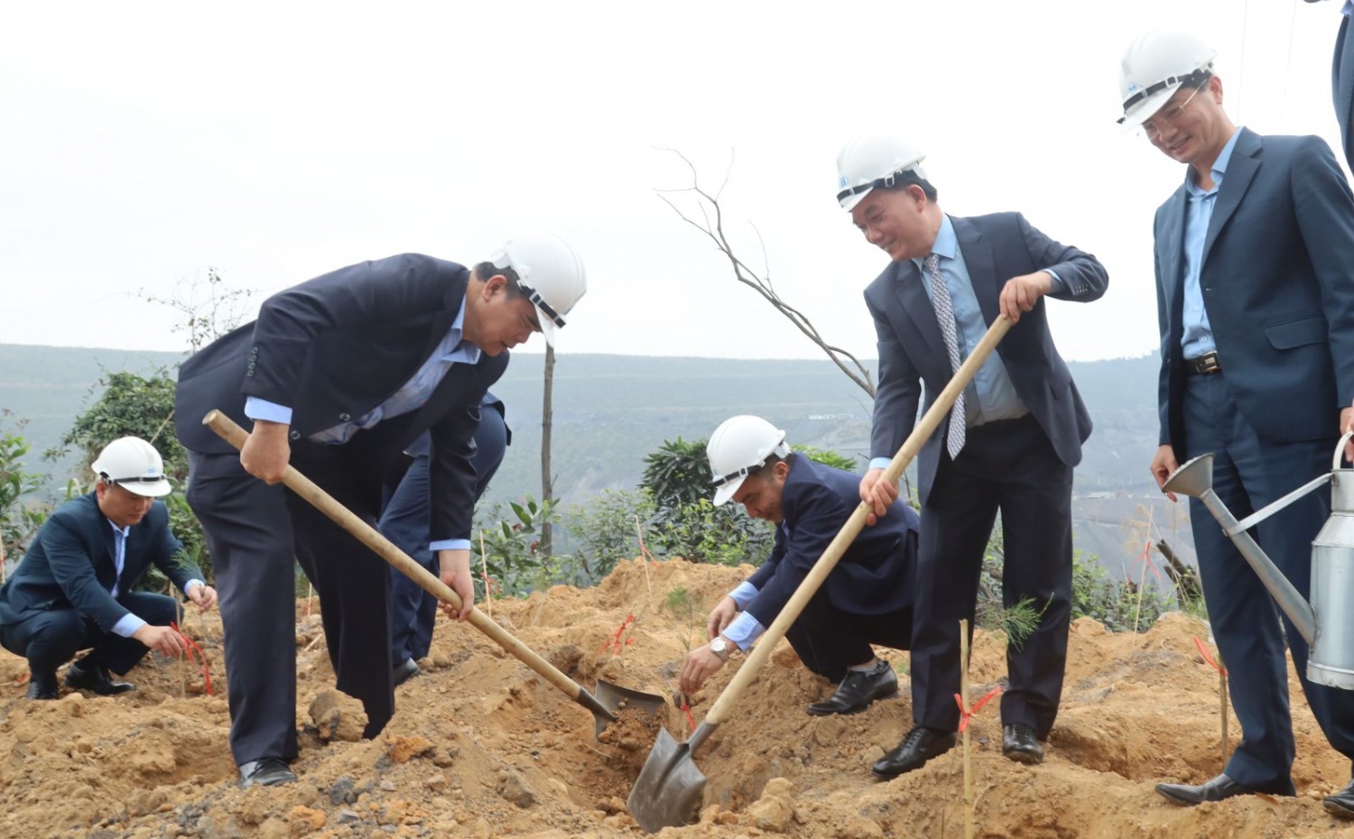 TKV - Tết trồng cây 2026