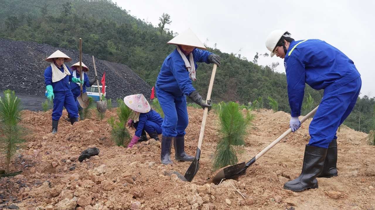 TKV - Tết trồng cây 2026