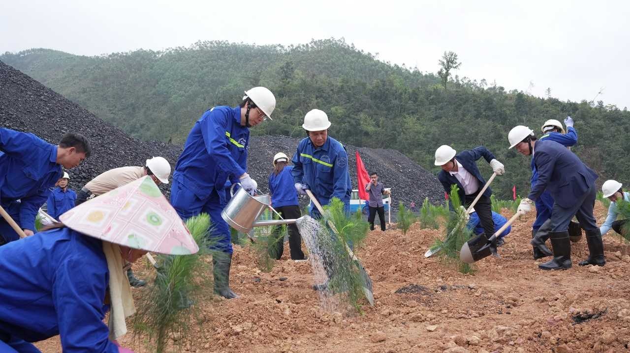 TKV - Tết trồng cây 2026