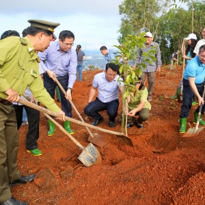 Quảng Ngãi phối hợp cùng BSR thực hiện nhiều hoạt động ý nghĩa dịp đầu xuân và Tháng Thanh niên