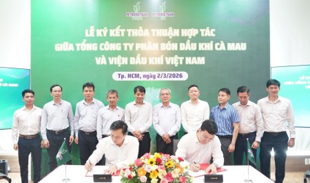 PVCFC và VPI hợp tác phát triển nông nghiệp xanh, bền vững