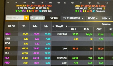 Phiên 3/3: Thị trường giảm sâu gần 33 điểm, cổ phiếu Dầu khí và Vận tải biển vẫn ngược dòng “nhuộm tím”