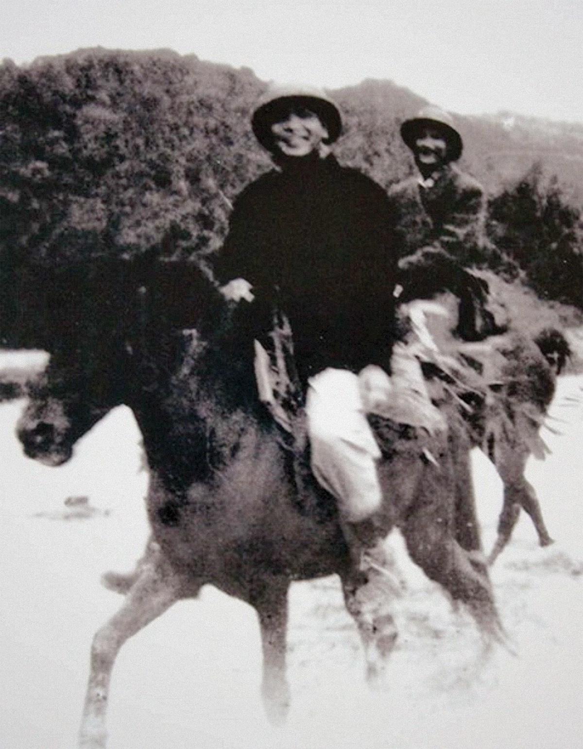 Vó ngựa thời gian