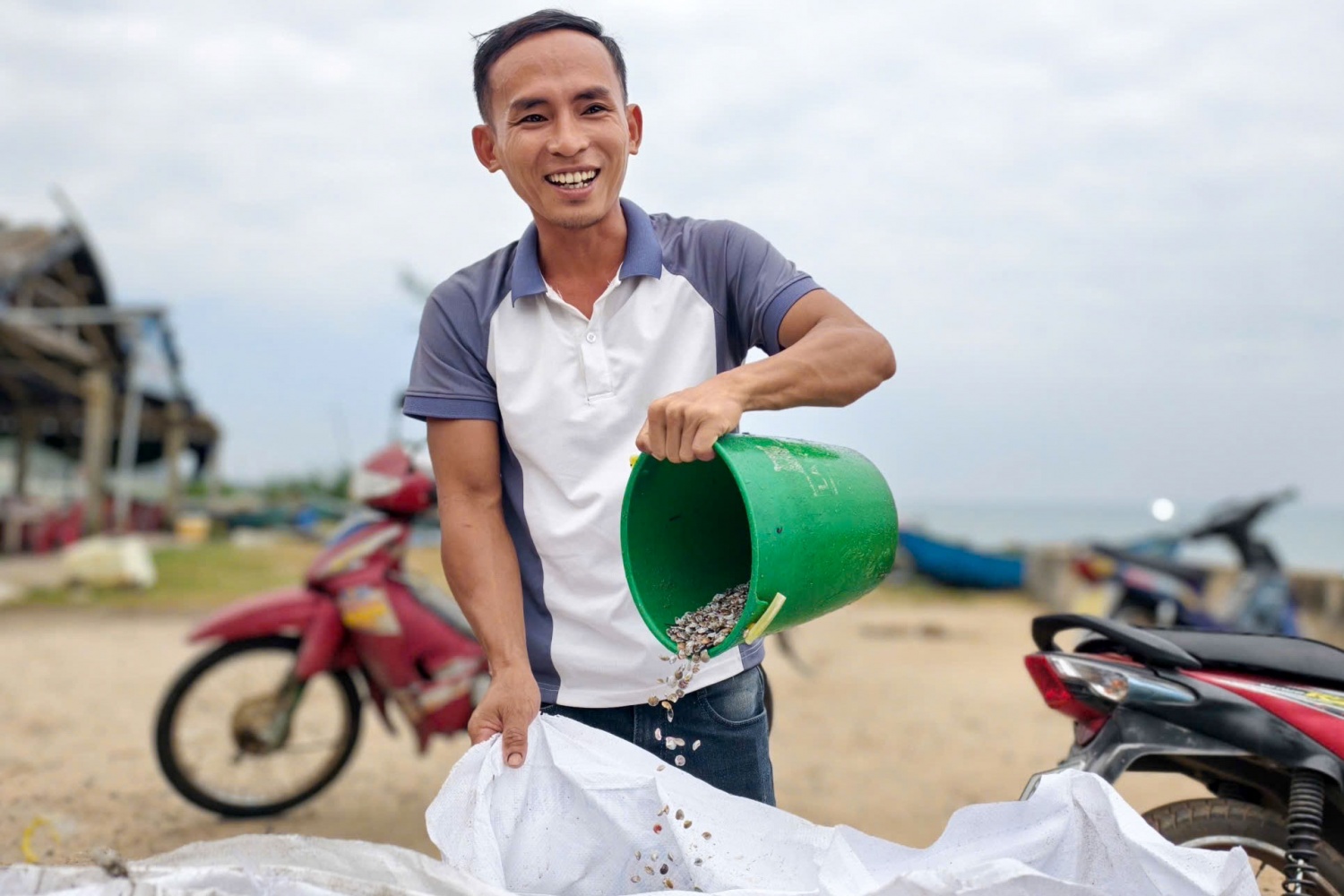 Quảng Ngãi vào mùa ốc gạo, ngư dân kiếm tiền triệu sau mỗi chuyến ra khơi