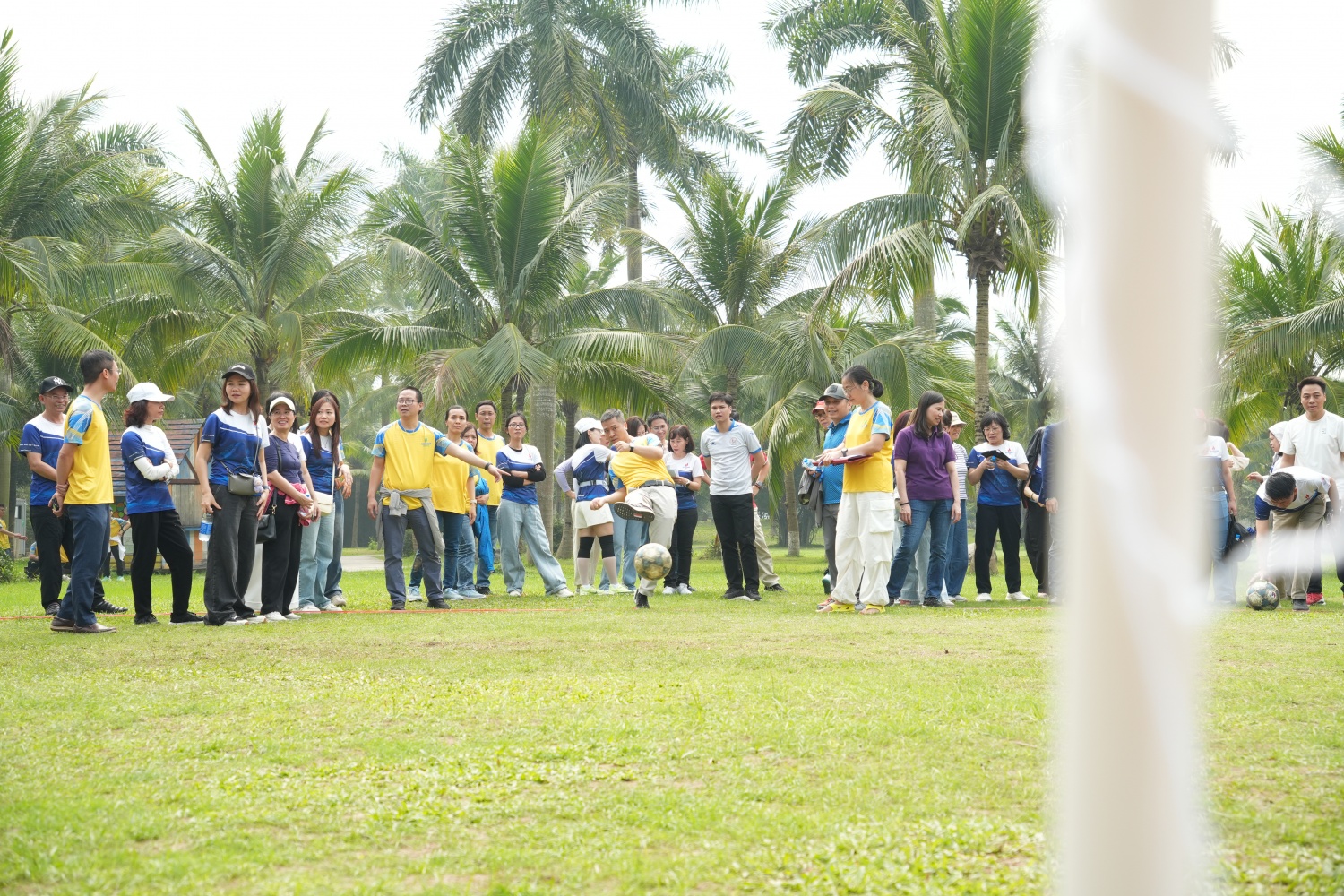 [Chùm ảnh] Sôi nổi Hội thao Xuân 2026 của Viện Dầu khí Việt Nam