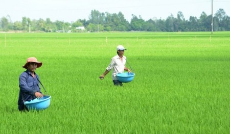 Xung đột Trung Đông ảnh hưởng ra sao tới lĩnh vực phân bón nông nghiệp?