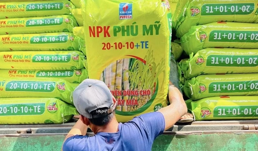 Phu My NPK partners with Dak Lak sugarcane areas for sustainable productivity