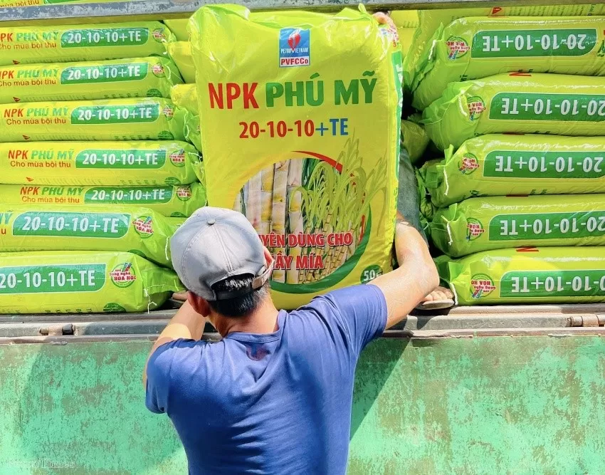Phu My NPK partners with Dak Lak sugarcane areas for sustainable productivity