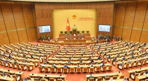 Doanh nhân tham gia Quốc hội: Đưa thực tiễn vào chính sách