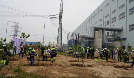 Tươi mãi màu xanh thanh niên tại NMND Thái Bình 2