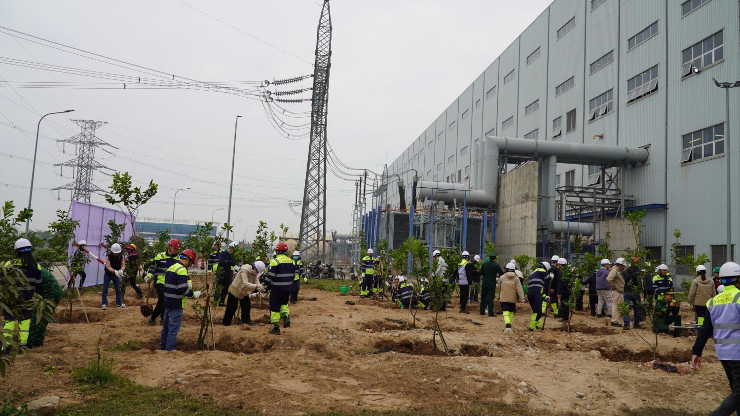 Tươi mãi màu xanh thanh niên tại NMND Thái Bình 2 Thái Bình 2 tháng thanh niên 2026