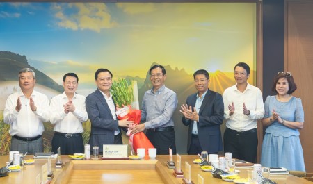 Xây dựng thương hiệu là nền tảng quan trọng để Petrovietnam vươn tầm quốc tế