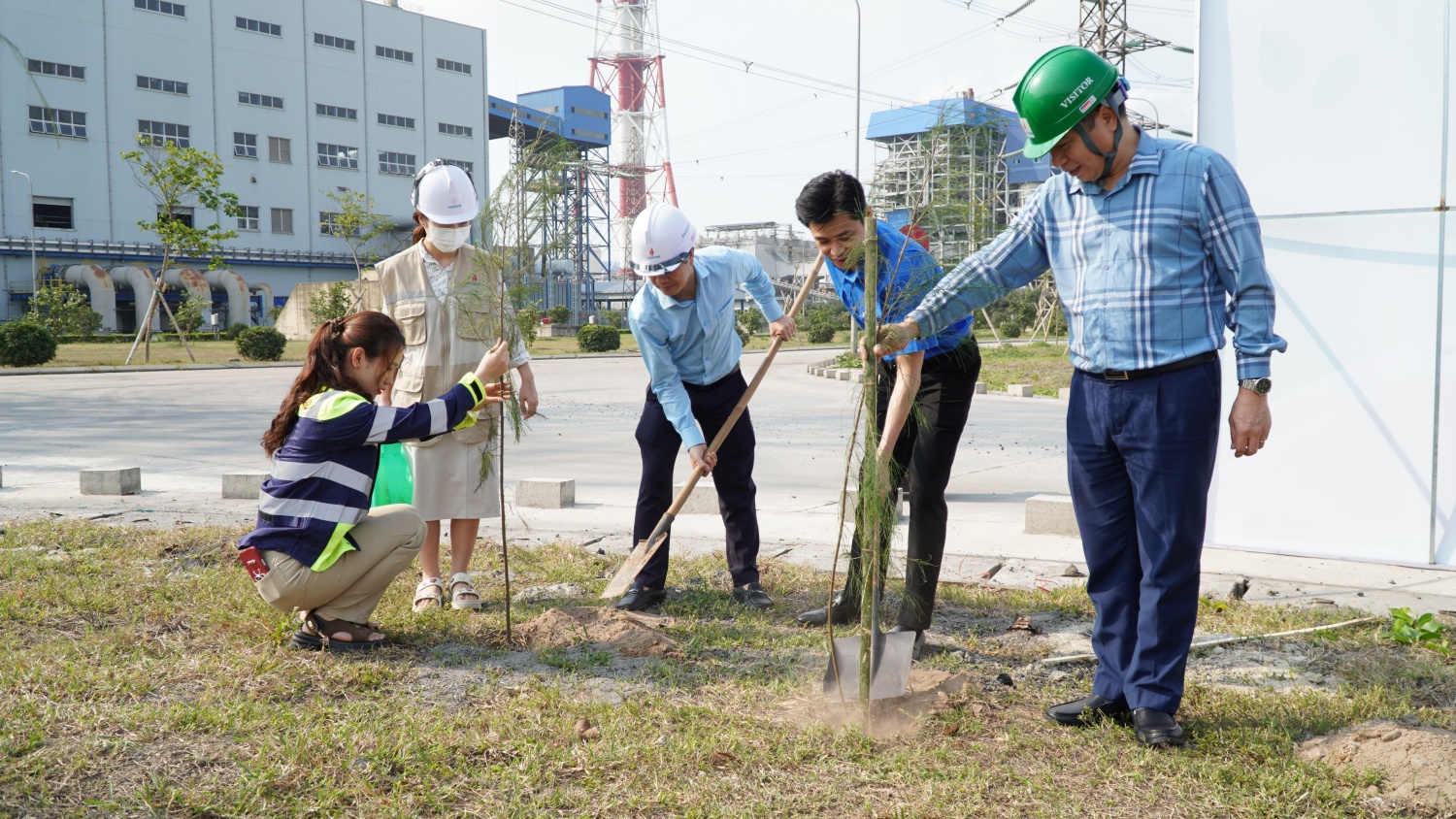 Thái Bình 2 - Tết trồng cây 2026