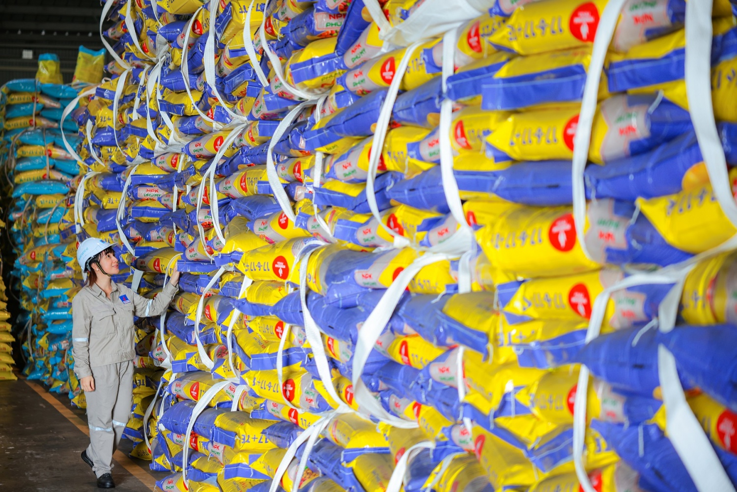 PVFCCo – Phú Mỹ: 23 năm bền bỉ mở rộng giá trị, vươn tầm thị trường PVFCCo – Phú Mỹ: 23 năm bền bỉ mở rộng giá trị, vươn tầm thị trường