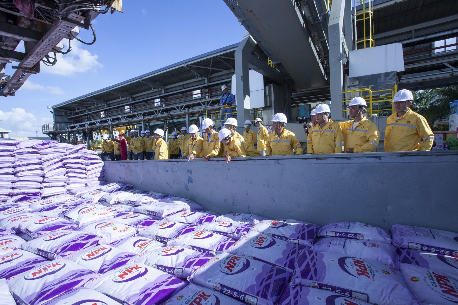 Phân bón Cà Mau giữ vững danh hiệu Hàng Việt Nam chất lượng cao năm 2026 Phân bón Cà Mau giữ vững danh hiệu Hàng Việt Nam chất lượng cao năm 2026