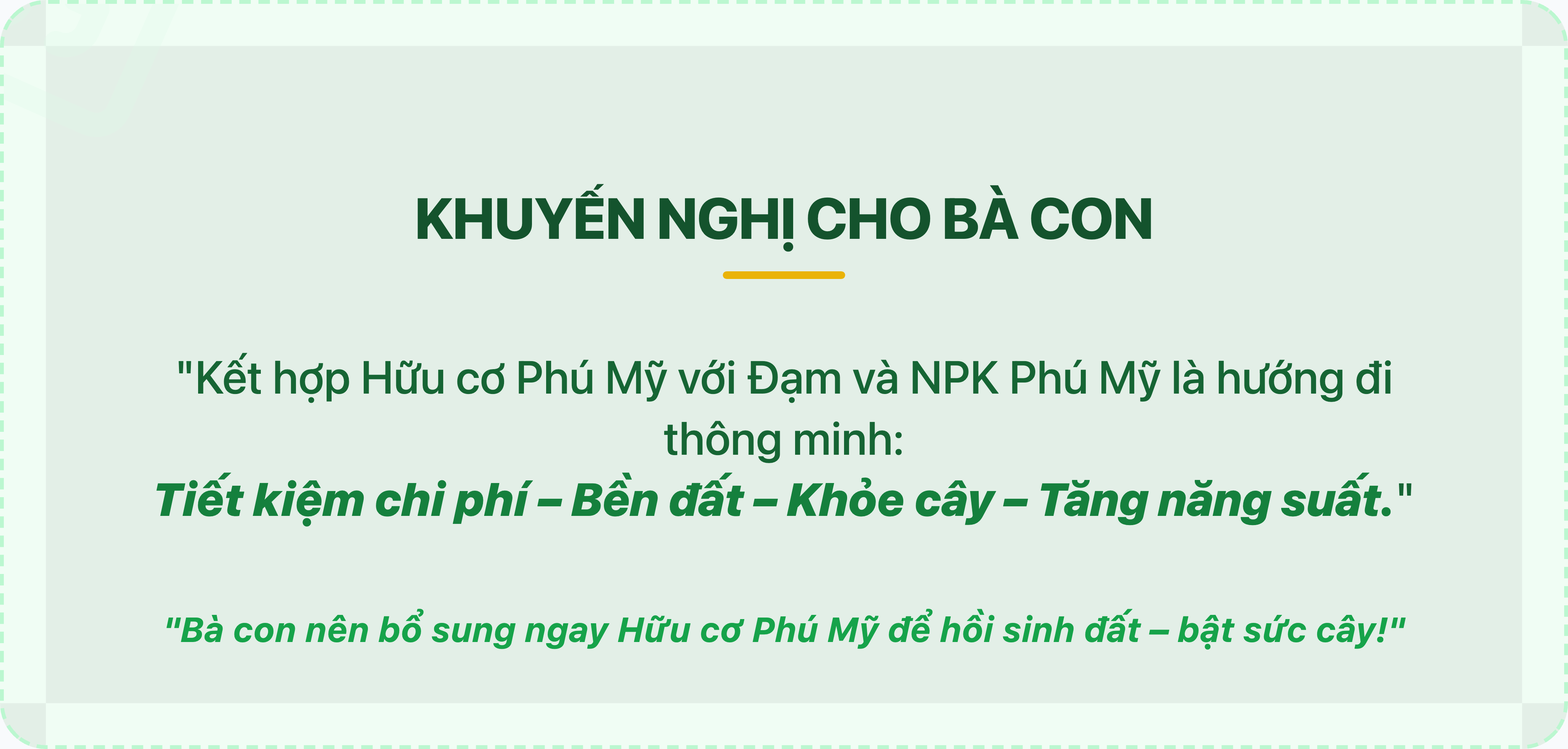 Hữu cơ Phú Mỹ: Giải pháp cho mùa vụ bền vững