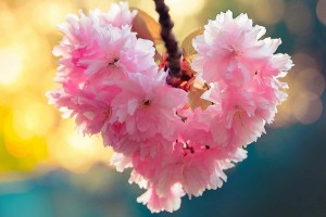 Tử vi tuần mới (6-12/4/2026): Tuổi Hợi sự nghiệp tỏa sáng, tuổi Dần tình duyên nở rộ