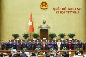 Quốc hội phê chuẩn việc bổ nhiệm Phó Thủ tướng, Bộ trưởng và thành viên khác của Chính phủ