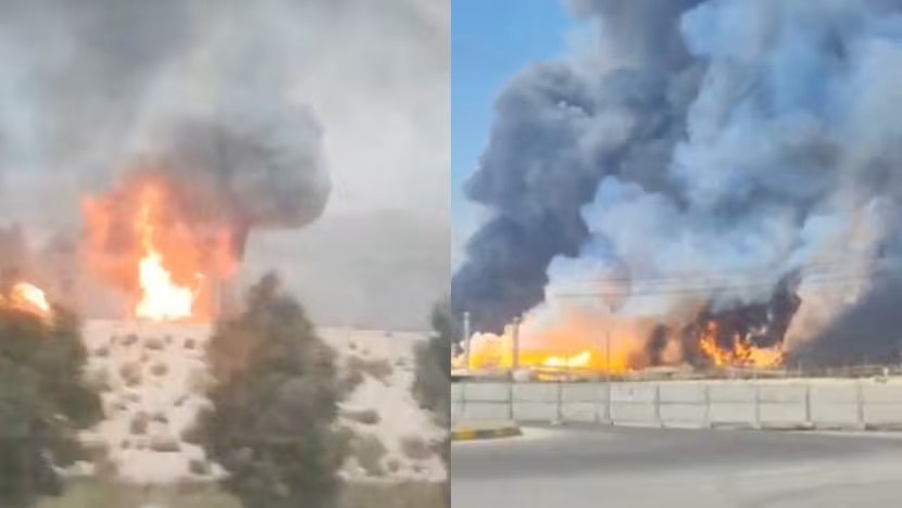 Chùm ảnh Chùm ảnh