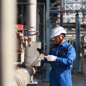 Kỹ sư Nguyễn Huy Thạch: 