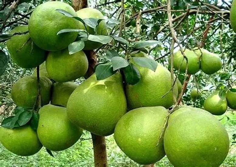 Tin tức kinh tế ngày 13/4: 26% hộ kinh doanh Hà Nội đã thông báo tài khoản ngân hàng Tin tức kinh tế ngày 13/4: 26% hộ kinh doanh Hà Nội đã thông báo tài khoản ngân hàng