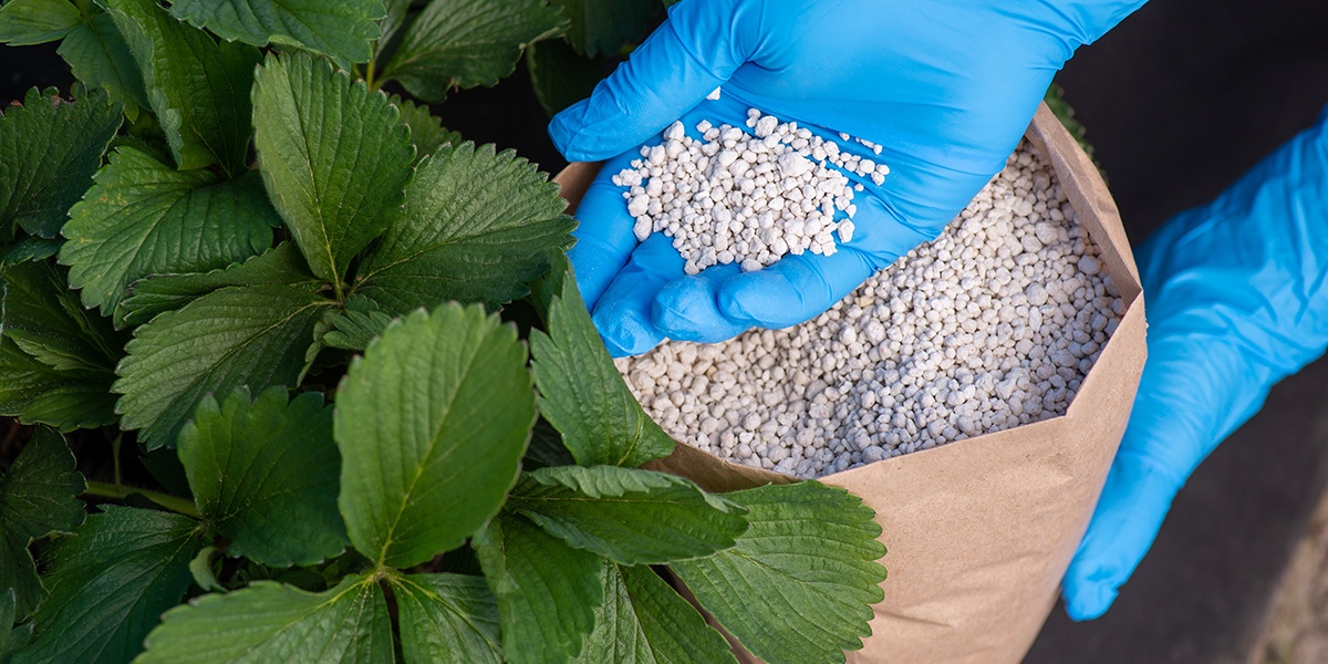 Xung đột Trung Đông: Thị trường phân bón khó phục hồi trong ngắn hạn