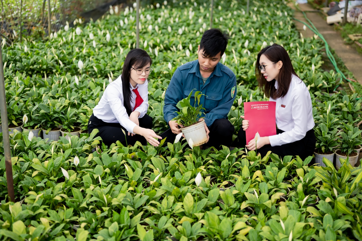 Agribank - Dòng vốn bền bỉ, điểm tựa vững chắc cho người dân và doanh nghiệp