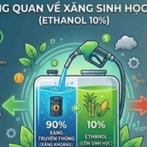 [VIDEO] Xăng E10 có gây “hại động cơ” như lời đồn?