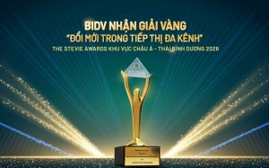 BIDV đạt giải Vàng The Stevie Awards về truyền thông giáo dục tài chính