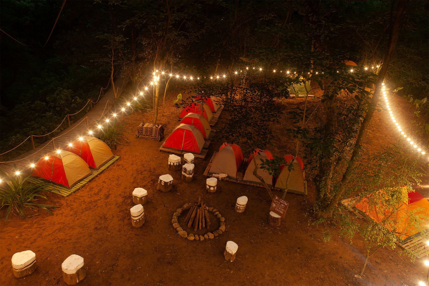 Bỏ phố về rừng, cô gái Ninh Bình viết giấc mơ du lịch xanh