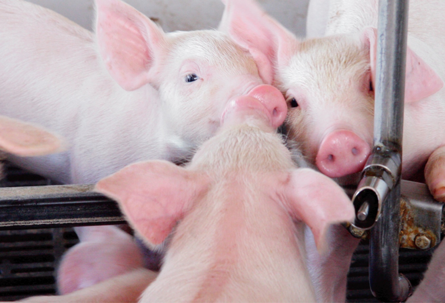 Việt Nam cần tăng sức chống chịu trước biến đổi khí hậu