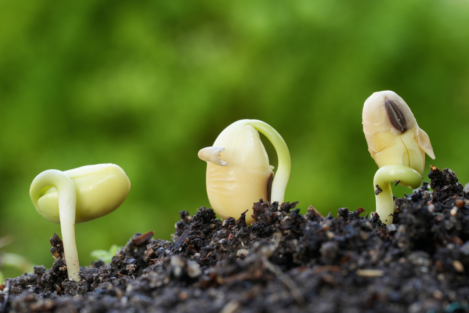 Việt Nam cần tăng sức chống chịu trước biến đổi khí hậu