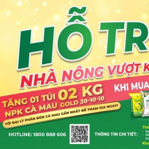 Phân bón Cà Mau triển khai chương trình “Hỗ trợ nhà nông vượt khó” trên toàn quốc