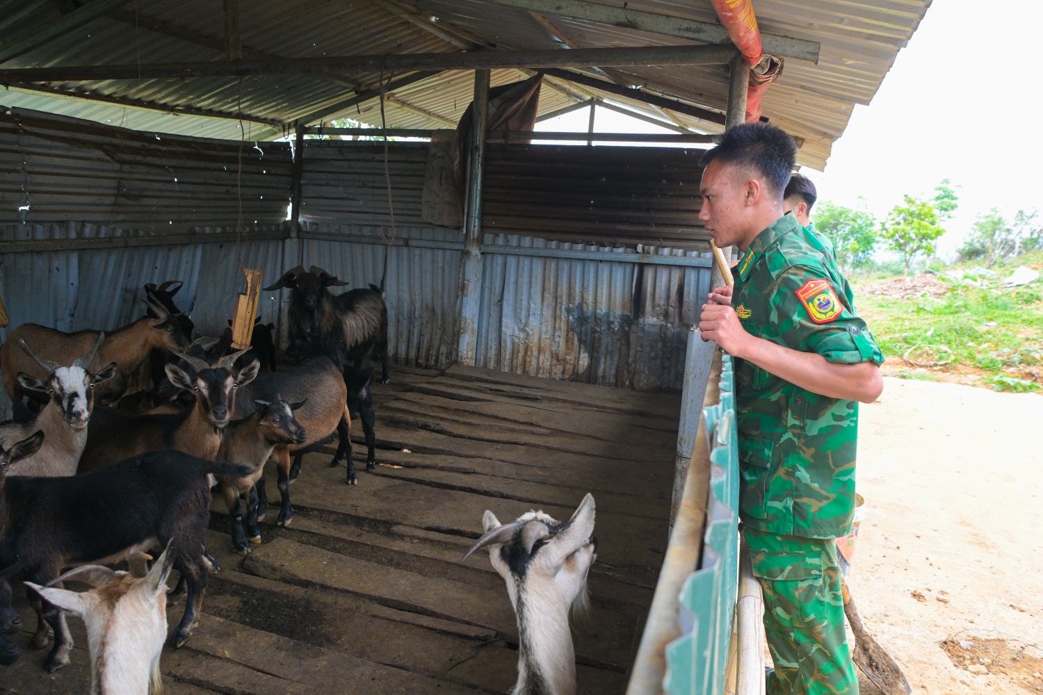 Ấm tình nơi tuyến đầu Tổ quốc, người lính giữ đất bằng cả trái tim