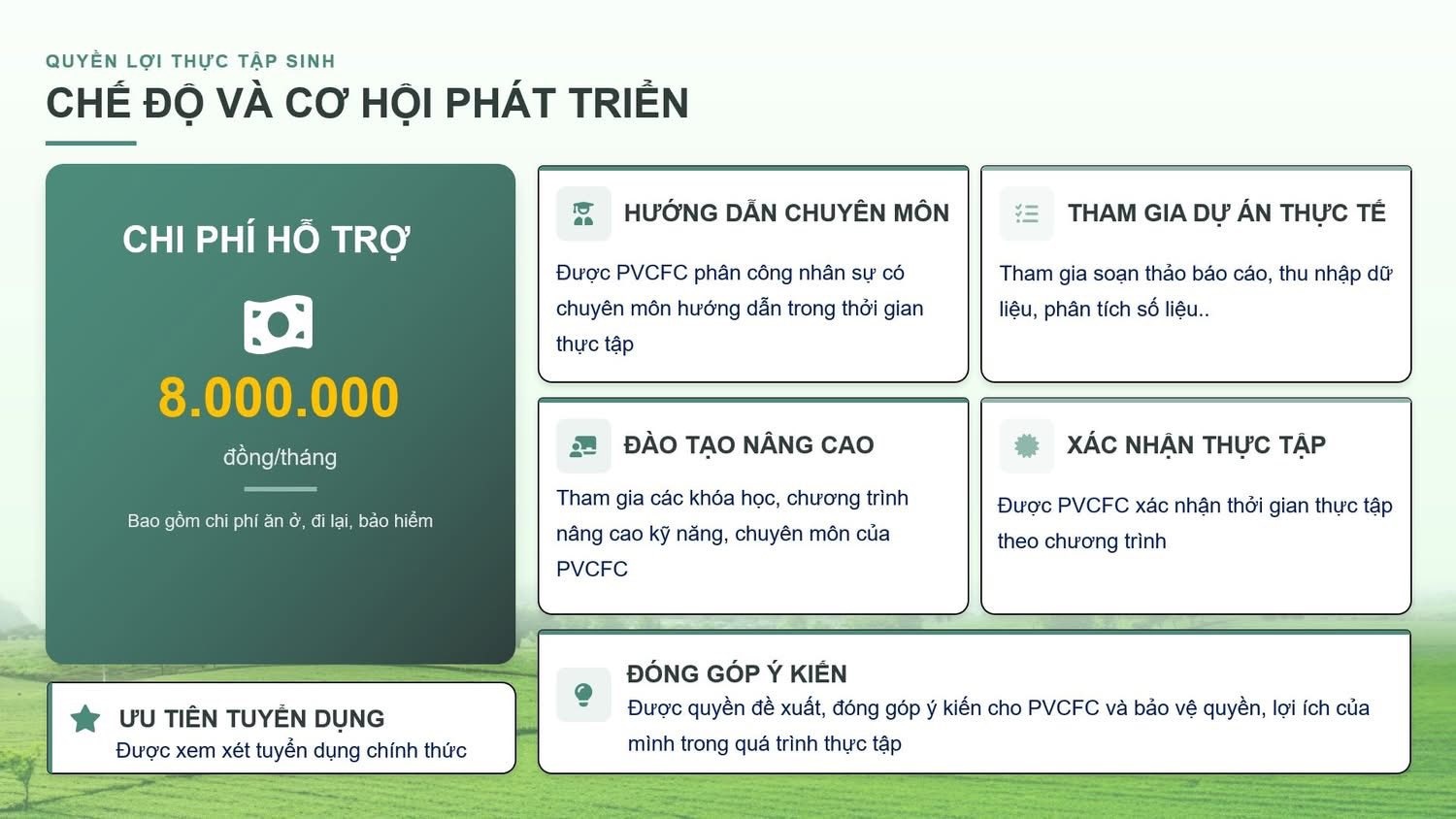 PVCFC triển khai Chương trình thực tập sinh năm 2026
