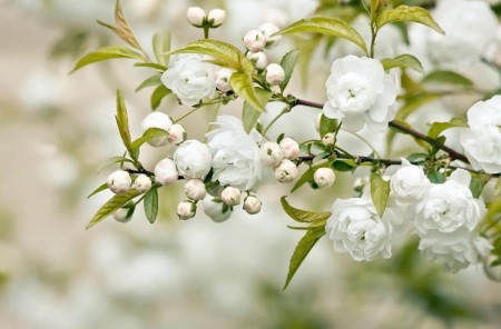 Tử vi tuần mới (27/4-3/5/2026): Tuổi Tý khẳng định tài năng, tuổi Ngọ sự nghiệp tiến triển