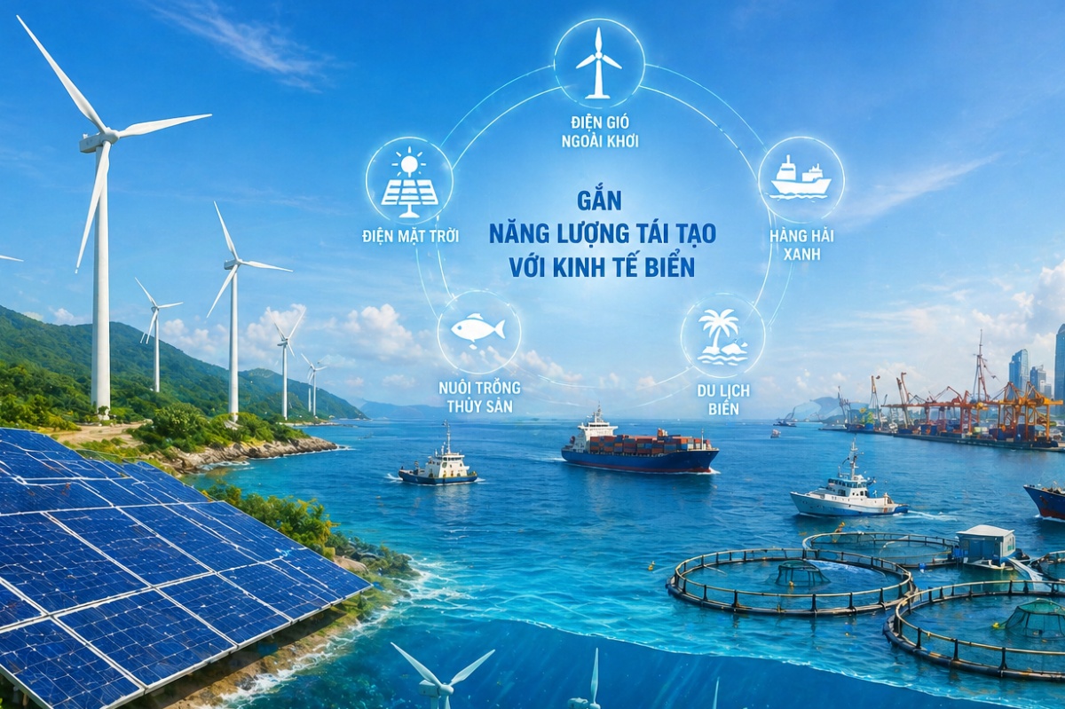 Gắn năng lượng tái tạo với kinh tế biển: Hướng đi chiến lược từ thực tiễn phía Nam