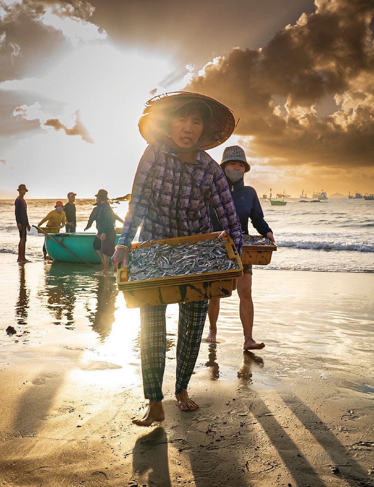 Hồi sinh sau sóng dữ