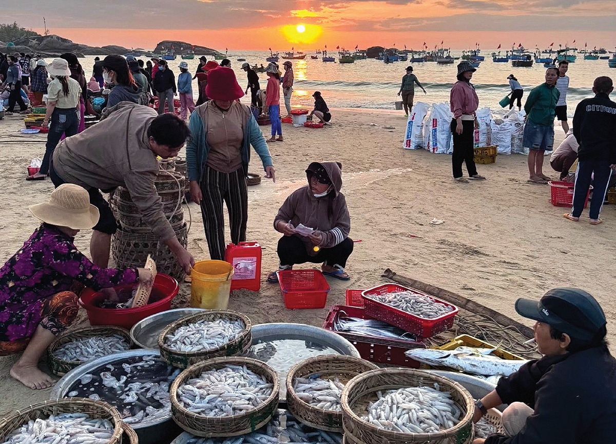 Hồi sinh sau sóng dữ