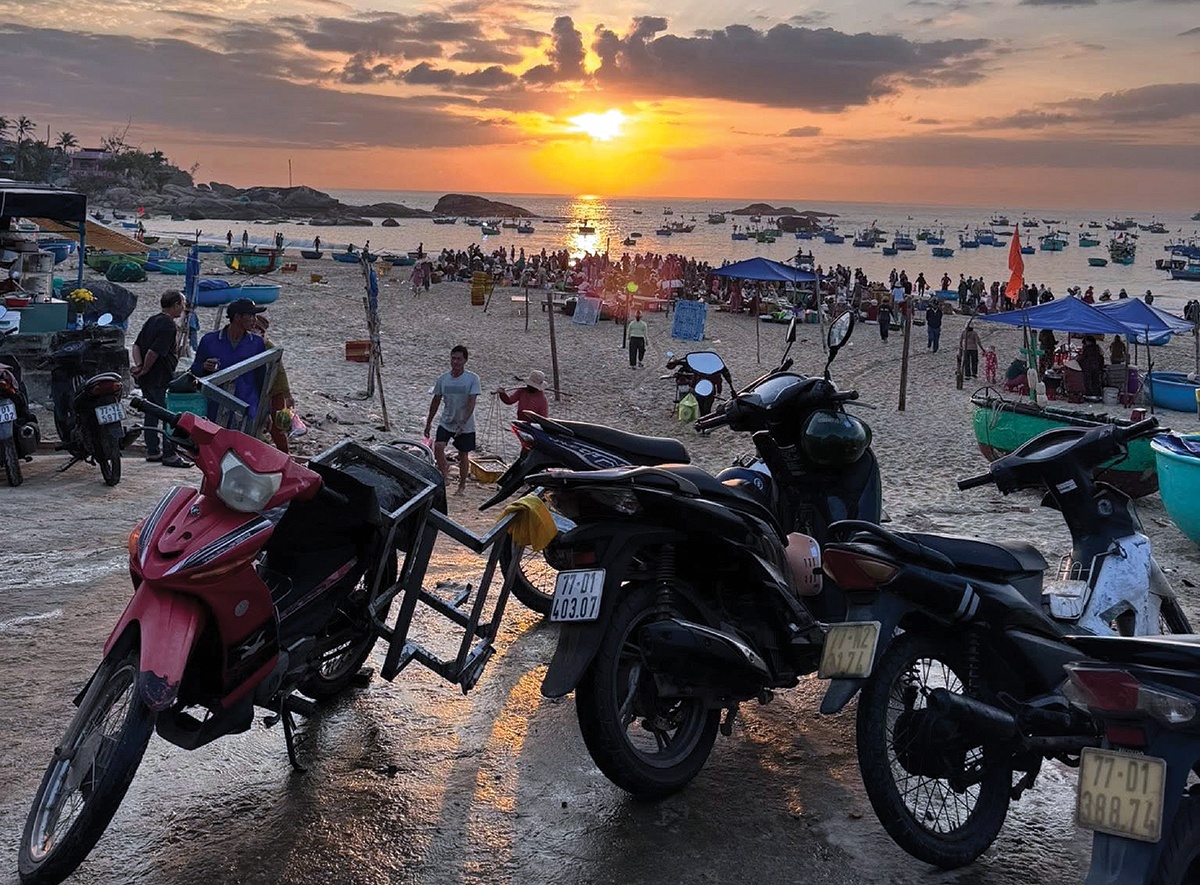 Hồi sinh sau sóng dữ