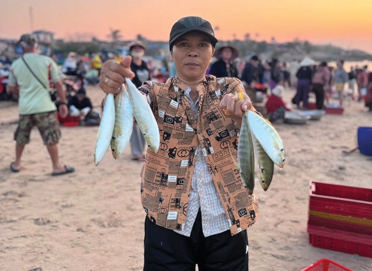 Hồi sinh sau sóng dữ