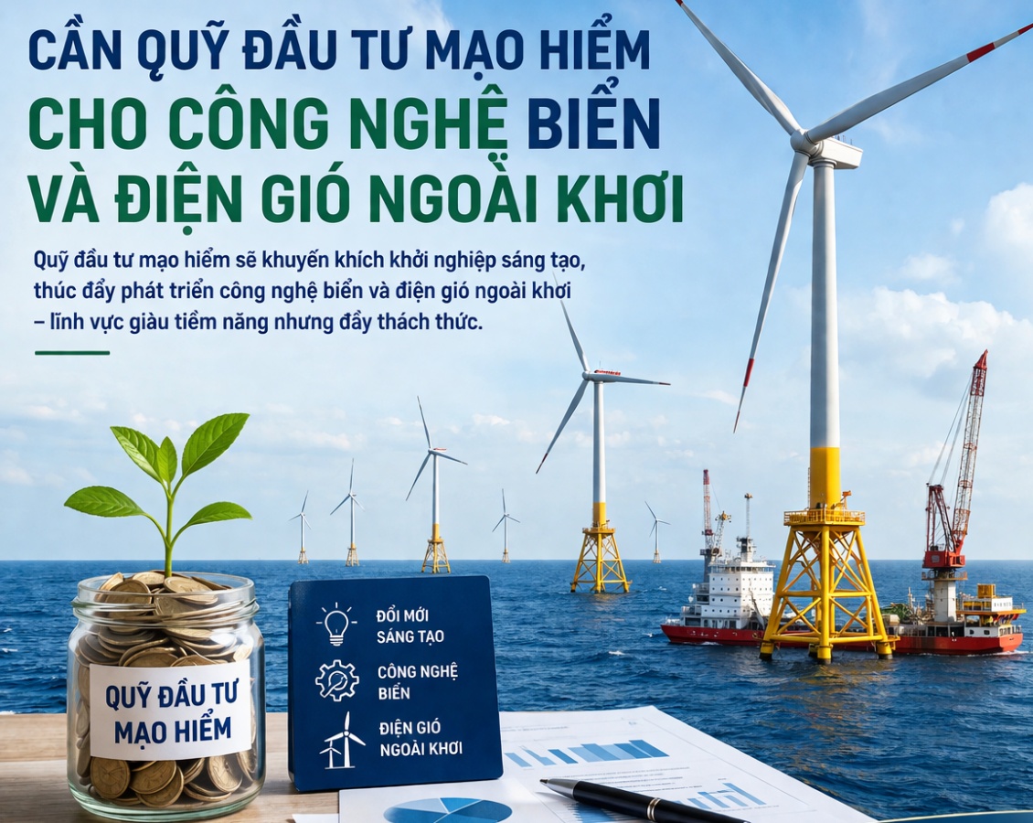 Cần quỹ đầu tư mạo hiểm cho công nghệ biển và điện gió ngoài khơi