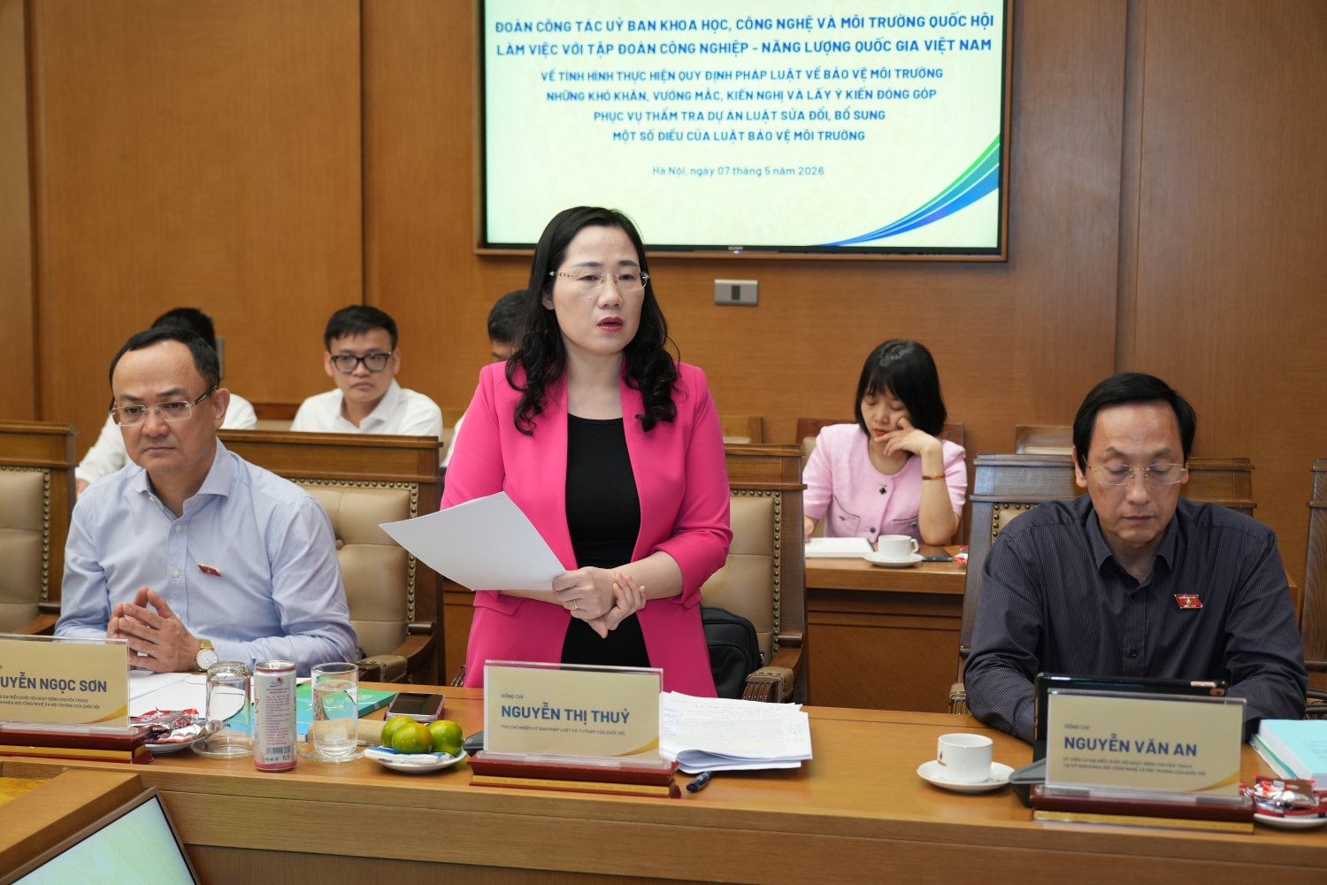Phó Chủ nhiệm Ủy ban Pháp luật và Tư pháp Nguyễn Thị Thủy phát biểu