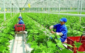 Tin tức kinh tế ngày 16/5: Chuyển đổi xanh - Động lực mới để đạt mục tiêu tăng trưởng kinh tế