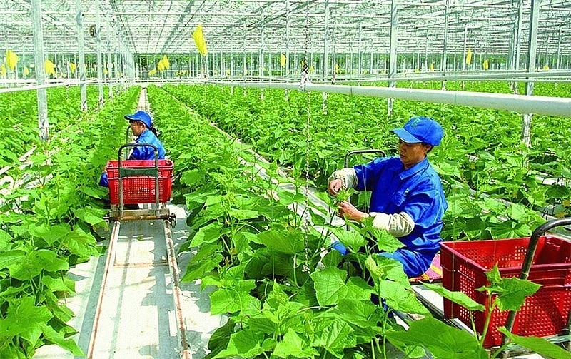Tin tức kinh tế ngày 16/5: Chuyển đổi xanh - Động lực mới để đạt mục tiêu tăng trưởng kinh tế